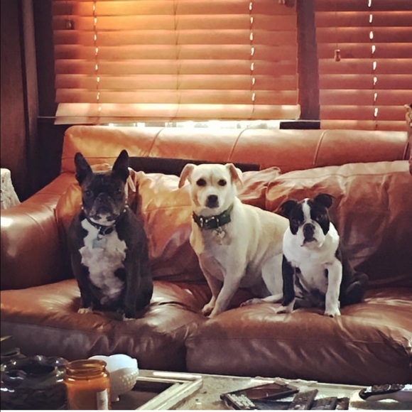 💋MEET YOUR SELLER/BUYER/DESIGNER 💋 - Picture 8 of 8